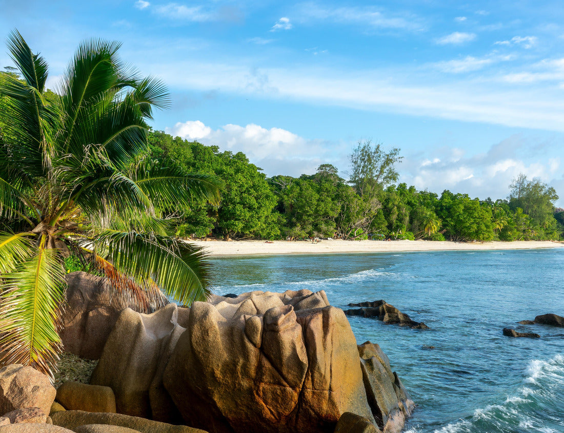 Noah Jigsaw Puzzle Granite rocks and palm trees on the scenic tropical sandy Anse Severe beach, La Digue island, Seychelles 1000 pieces