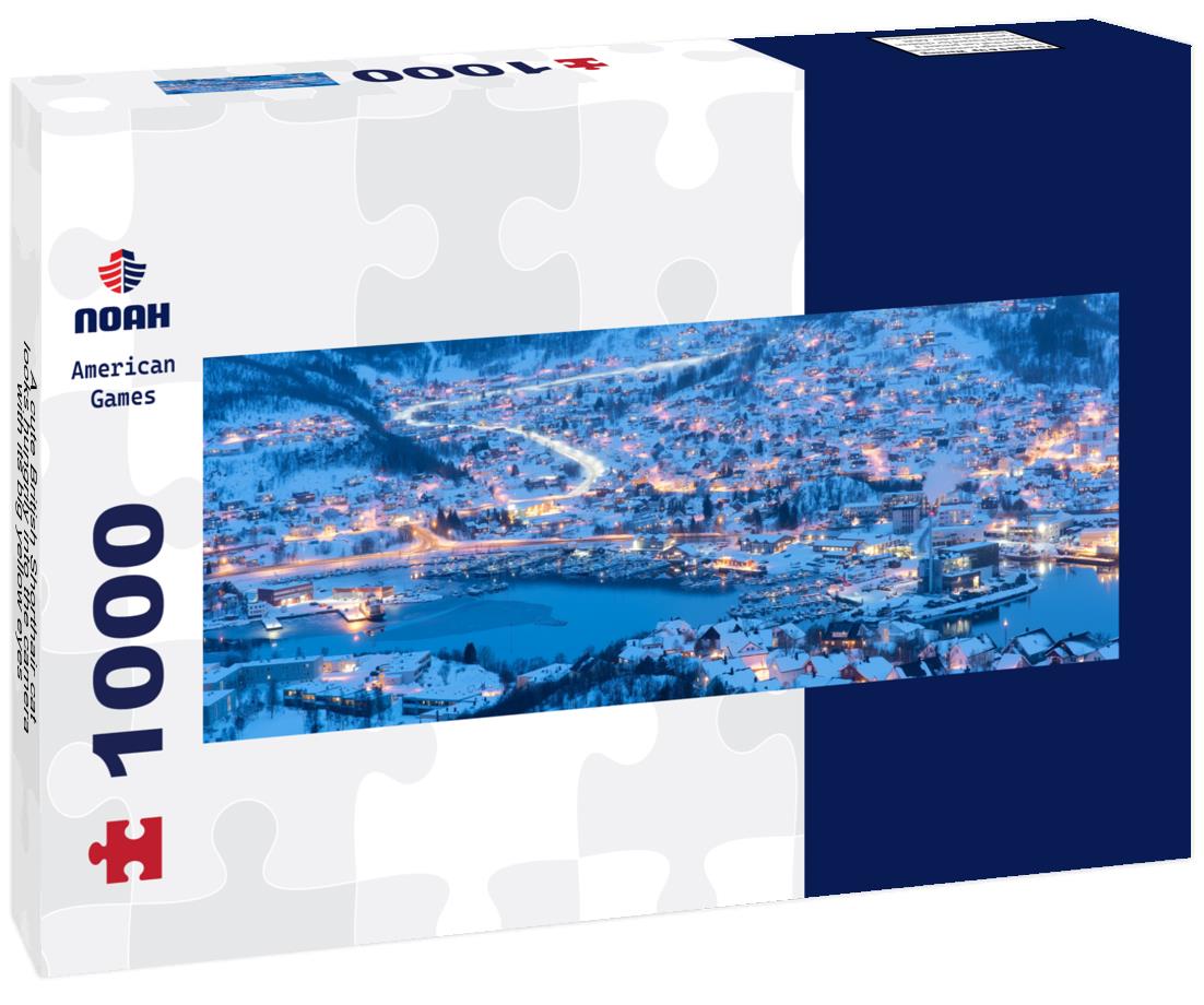 Noah Jigsaw Puzzle A cute British Shorthair cat looks hungrily into the camera with its big yellow eyes Panorama 1000 Pieces