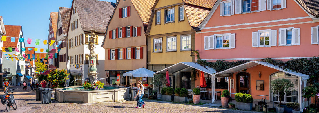Noah Jigsaw Puzzle Dobele castle ruins (XIV) in the XVI century, Dobele, Latvia Panorama 1000 Pieces