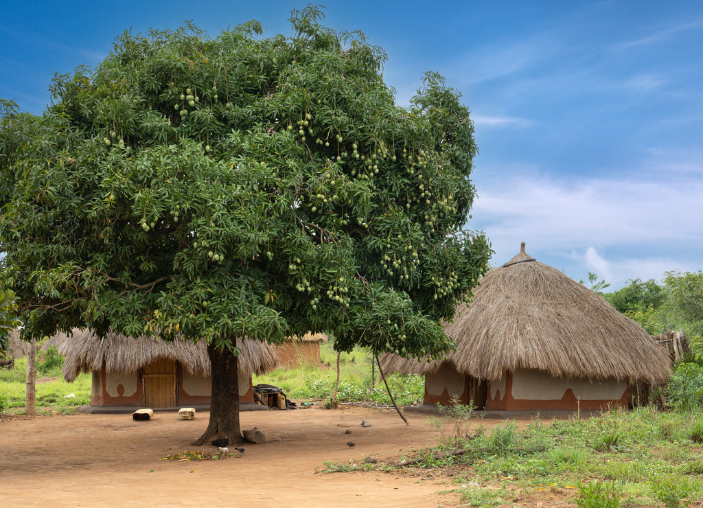 Village, Uganda, East Africa