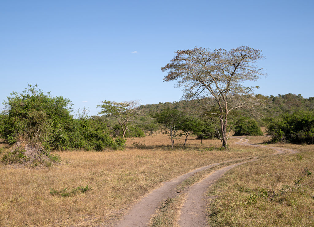 Lake Mburo National Park, Uganda