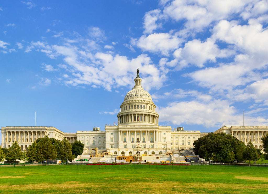 The United States Capitol building in Washington DC
