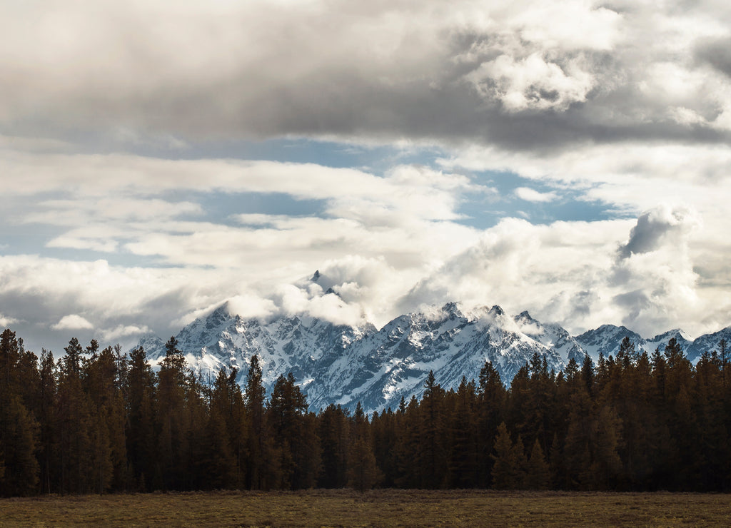 Scenic view of Grand Teton National Park, Wyoming, USA