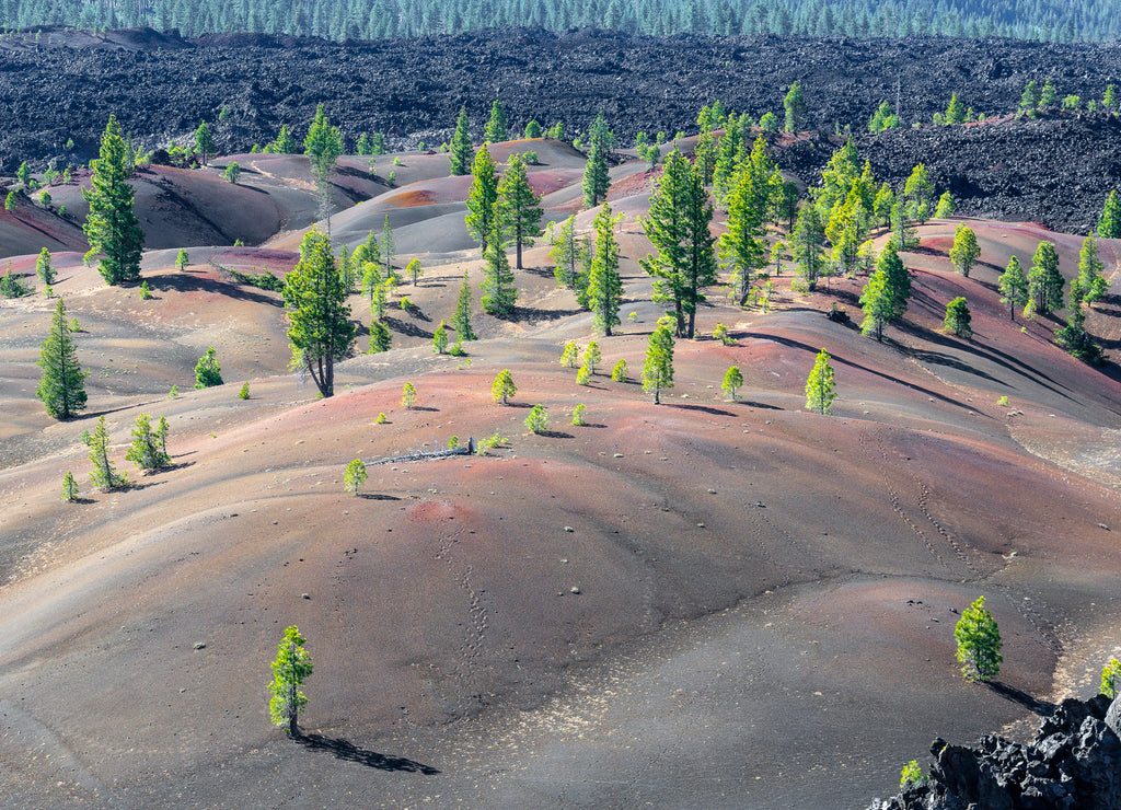 Painted Dunes in Lassen Volcanic National Park, California, USA