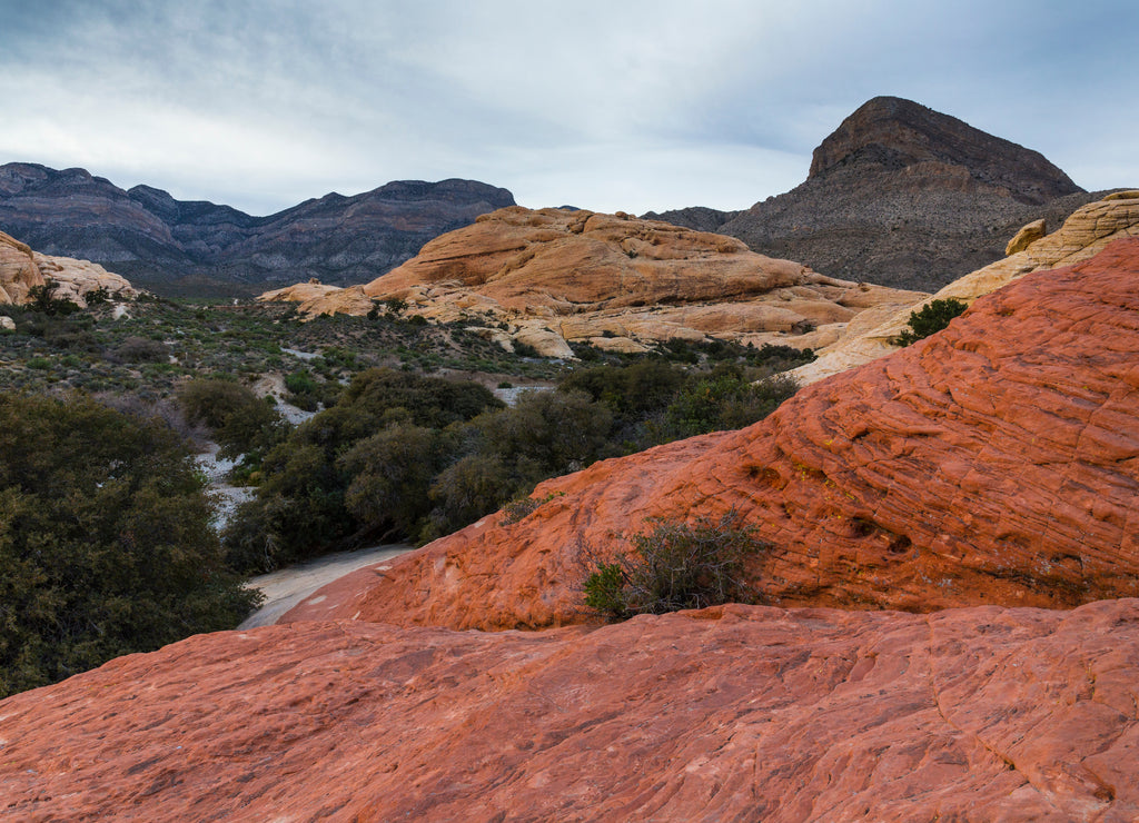 Red Rock Canyon, Clark County, Nevada, USA, America