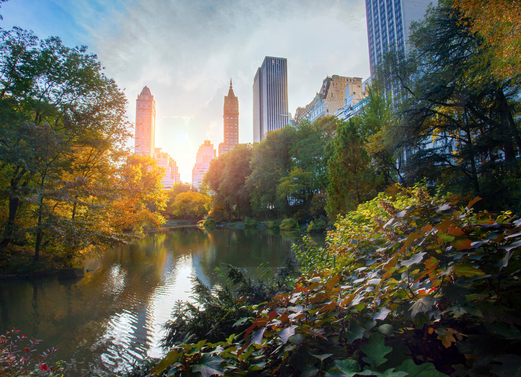 New York City Manhattan, skyscrapers and colorful trees with reflection