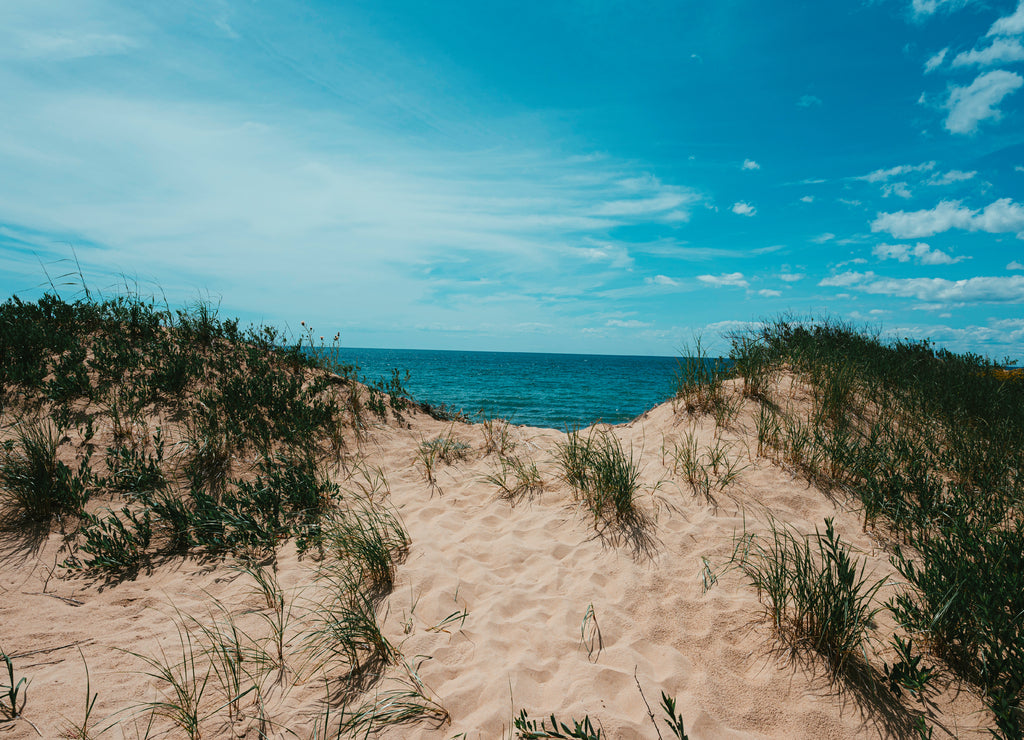 Sand Dunes Michigan