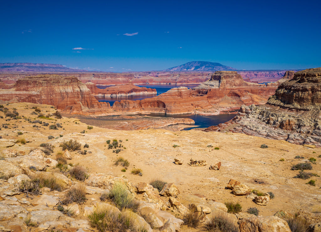 View of Lake Powell from Alstrom Point in Utah