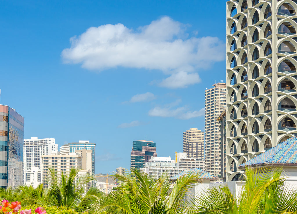 Palm trees and building tops in Honolulu, Hawaii, USA