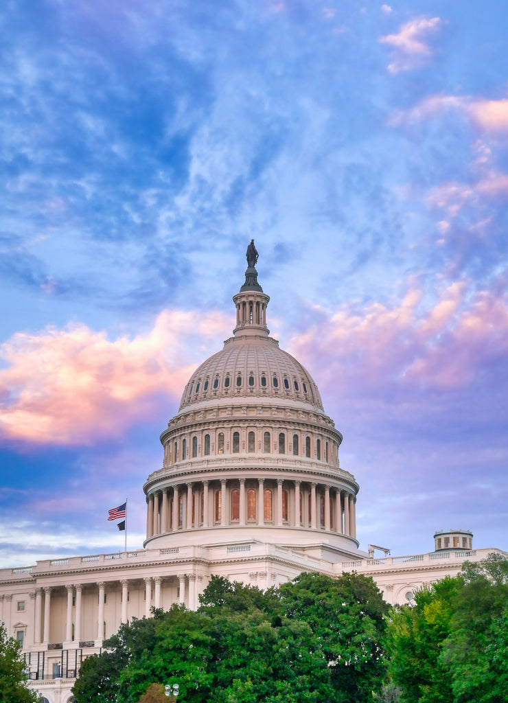 The United States Capitol in Washington, D.C.