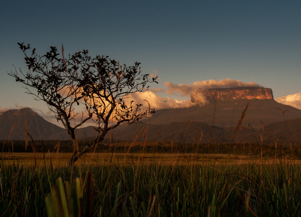 View with of the Ptari Tepui plateau at sunset on the way to the Karuay waterfall La Gran Sabana Venezuela