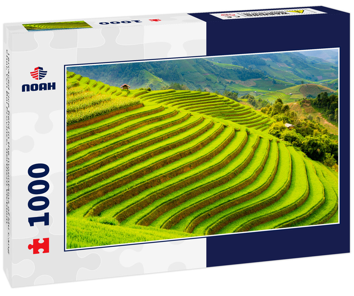 Terraced rice field in the mountains of Mu Cang Chai, Yen Bai Province, northern Vietnam