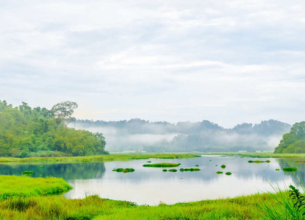 View on crocodile lake in the jungle of cat Tien national park in Vietnam
