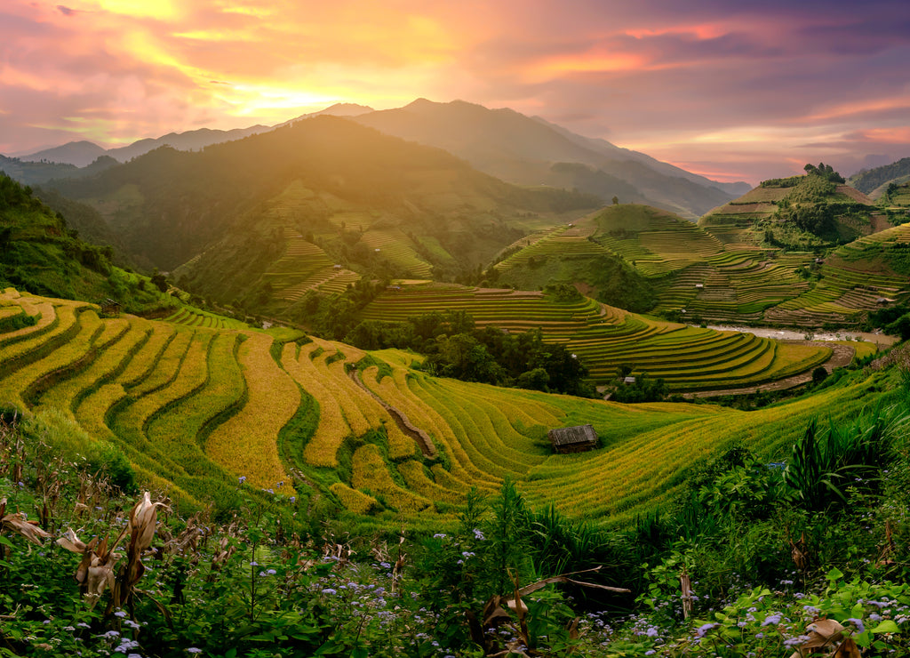 Mu Cang Chai, landscape terraced rice field near Sapa, north Vietnam