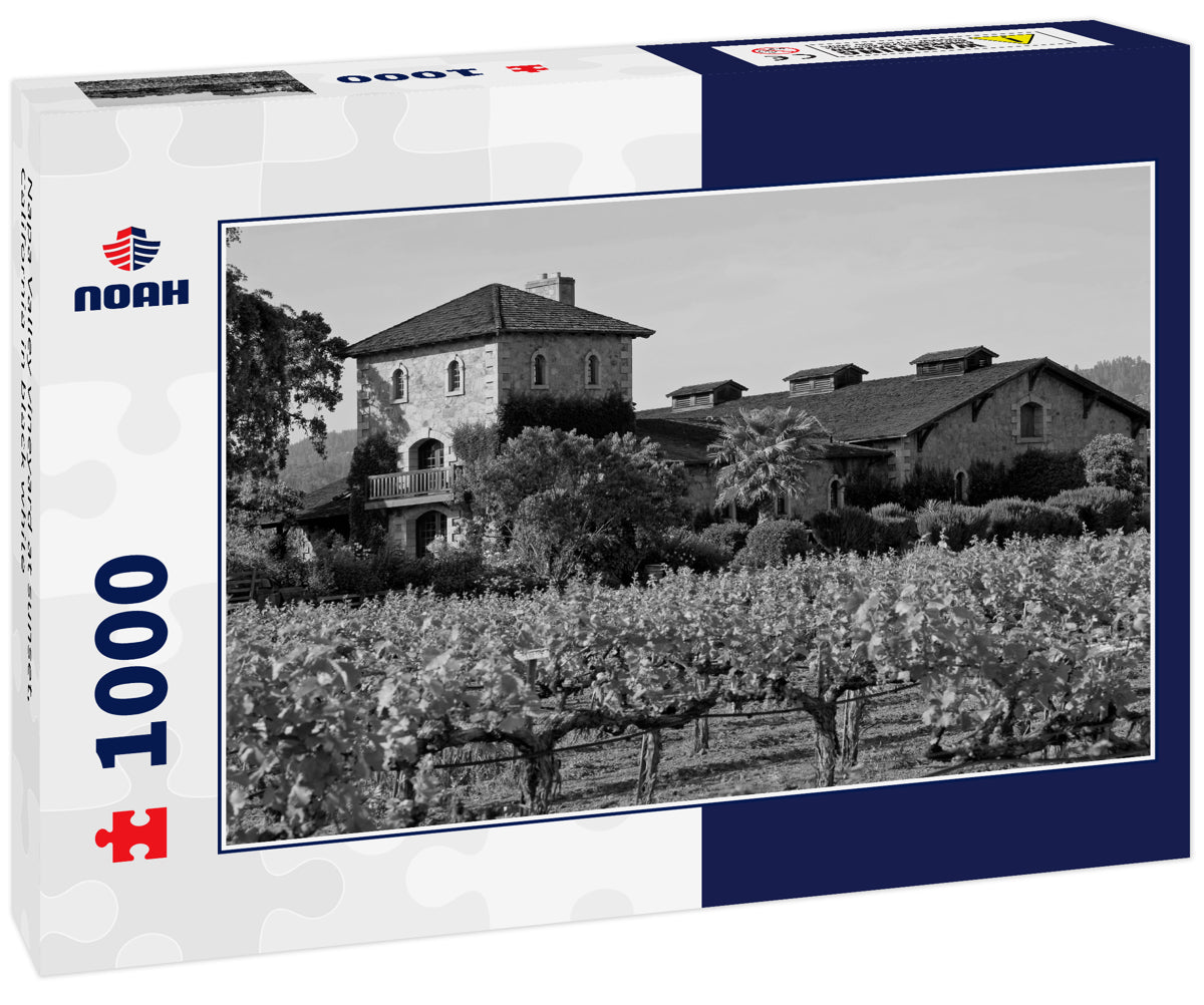 Napa Valley vineyard at sunset, California in black white