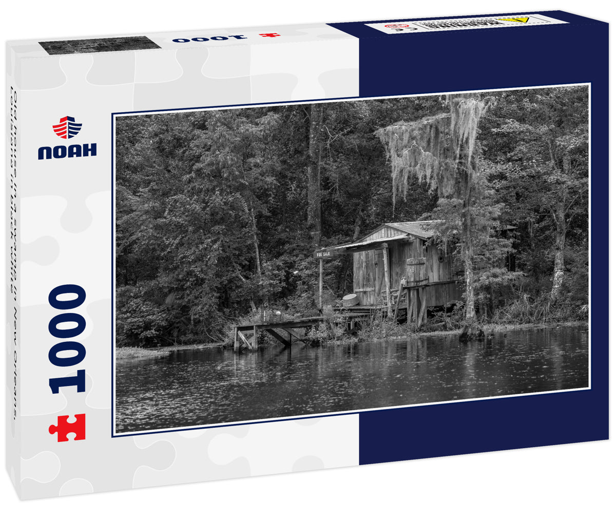 Old house in a swamp in New Orleans, Louisiana in black white