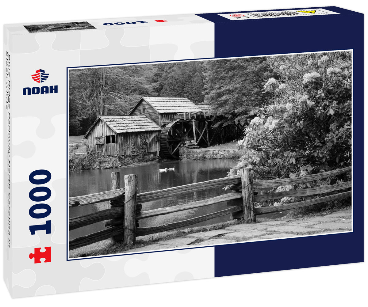 Blue Ridge Parkway North Carolina in black white