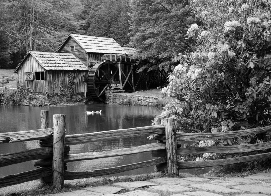 Blue Ridge Parkway North Carolina in black white