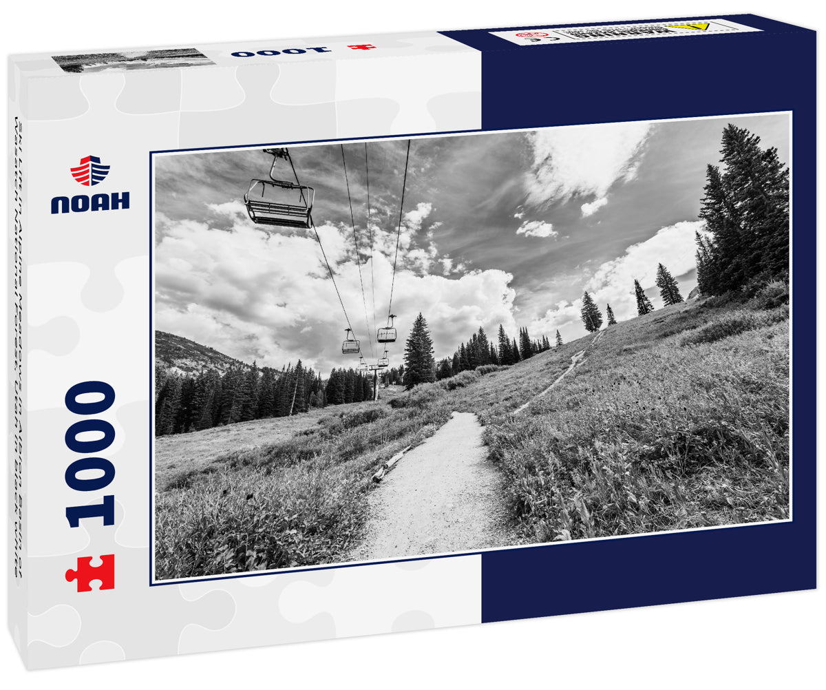 Ski Lift in Alpine Meadows in Albion Basin of Wasatch National Forest, Utah in black white