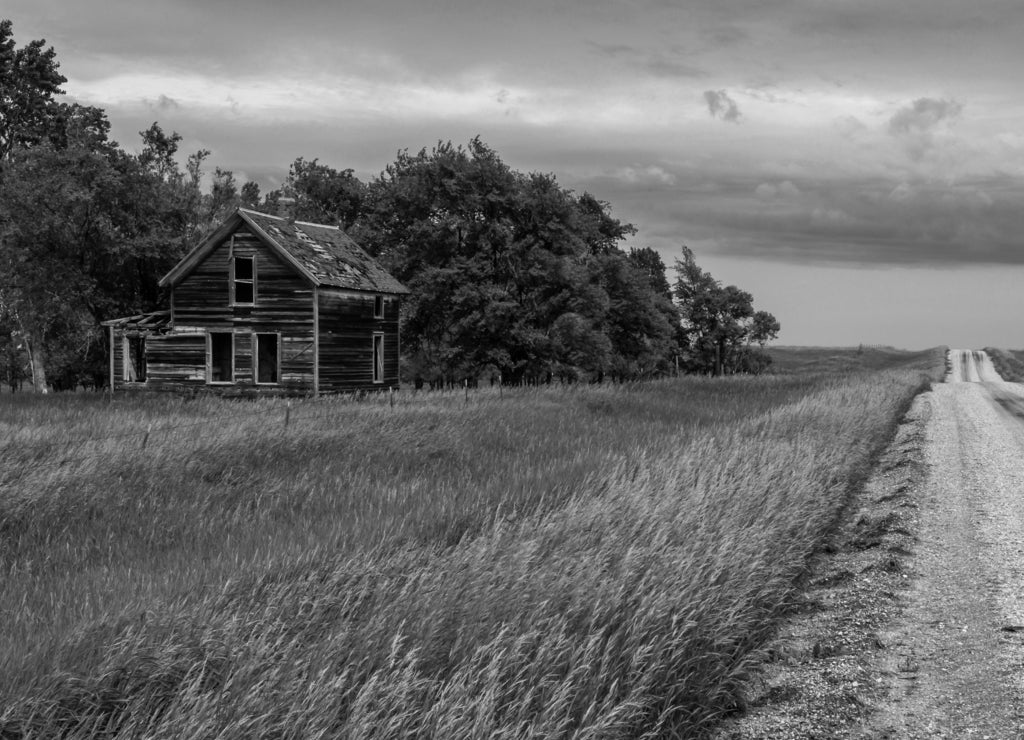 Rural Route Not a lot going on in Miller, South Dakota. It seemed right to find a deserted old shack along a dirt road that seemed to lead to nowhere in black white