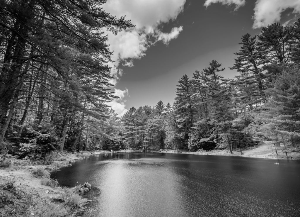 The Archery Pond at Bear Brook State Park, New Hampshire in black white