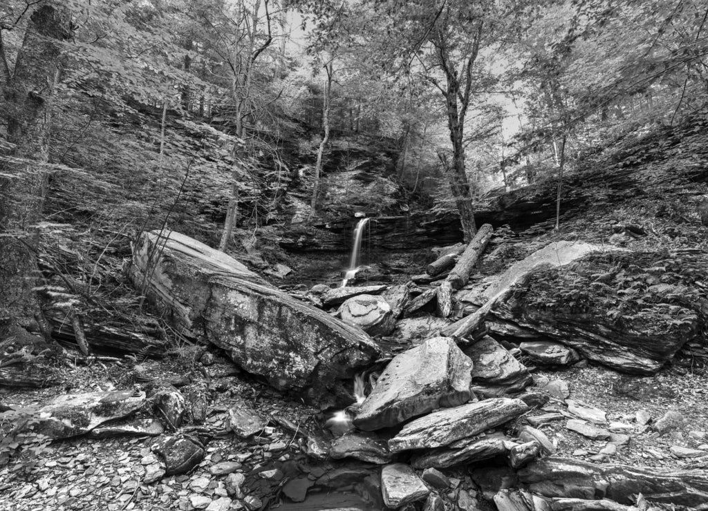 Ricketts Glen State Park - Pennsylvania in black white