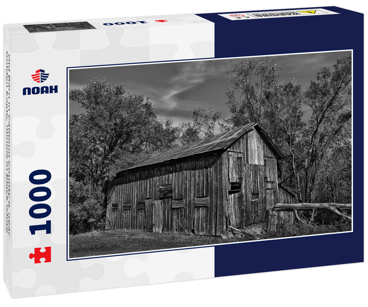 Old Barn in Calhoun County IL near Golden Eagle, Illinois in black white