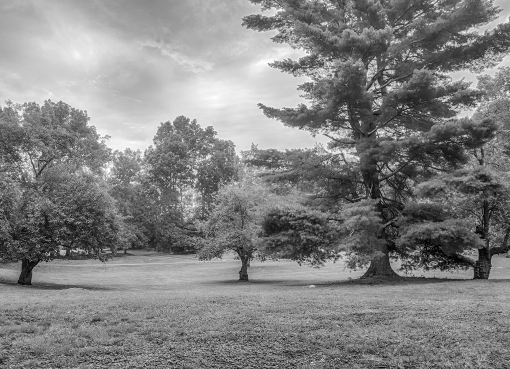 Silver Lake in Sullivan County, New York in black white