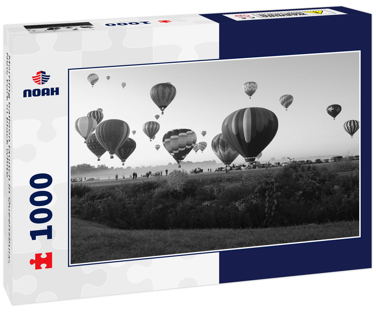 Morning balloon launch in Queensbury, New York in black white