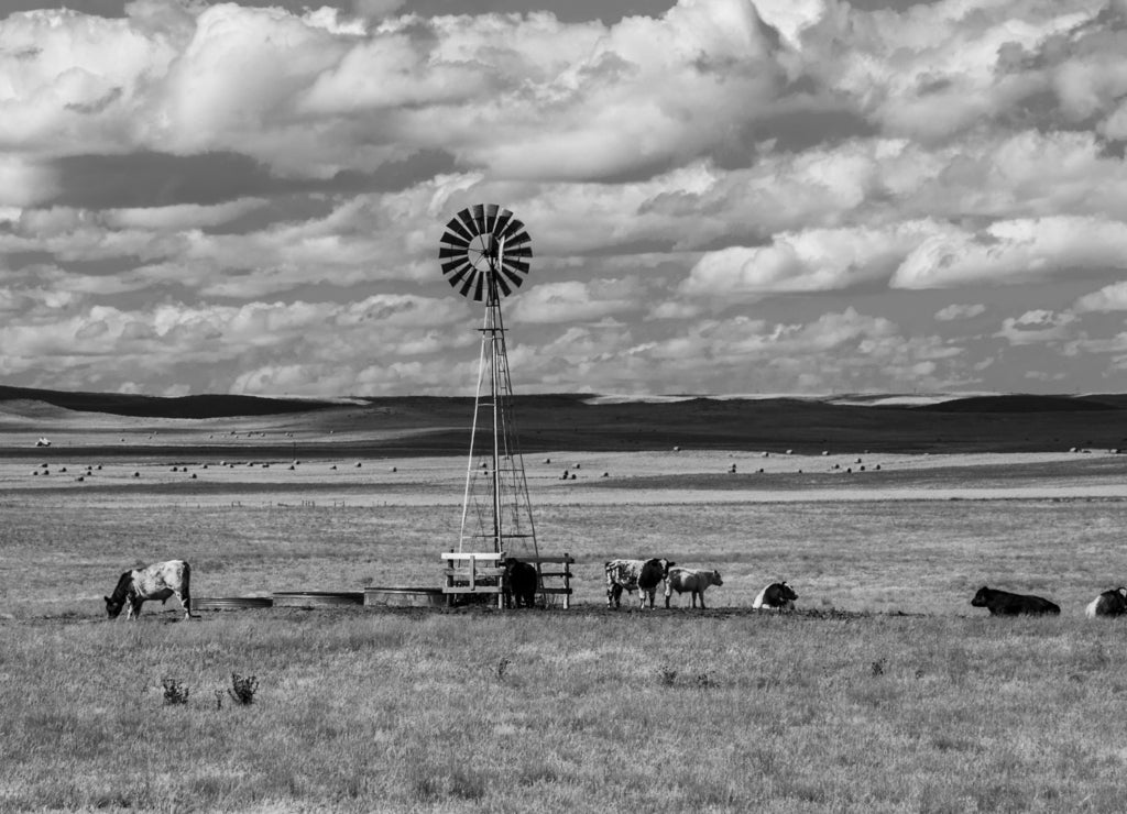 Old Wyoming Ranch in black white