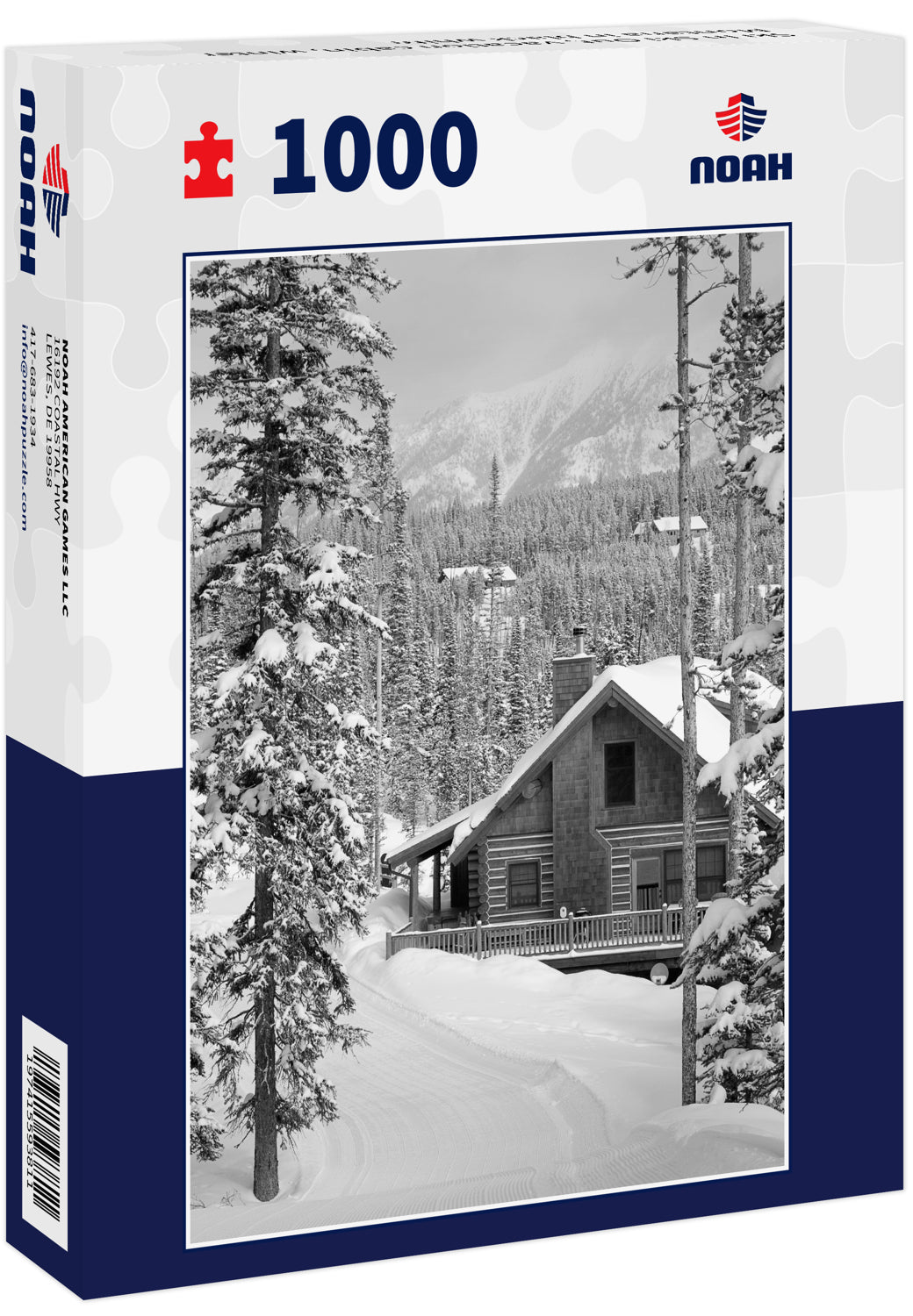 Ski In Ski Out, vacation cabin, winter Montana in black white