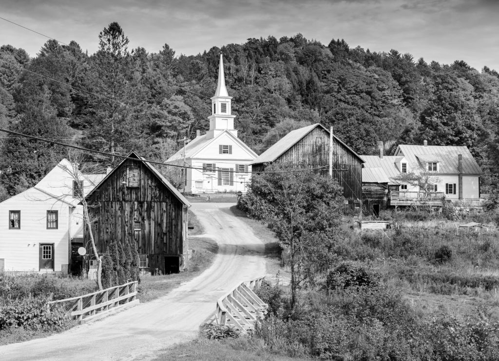 Rural Vermont, USA autumn foliage in black white