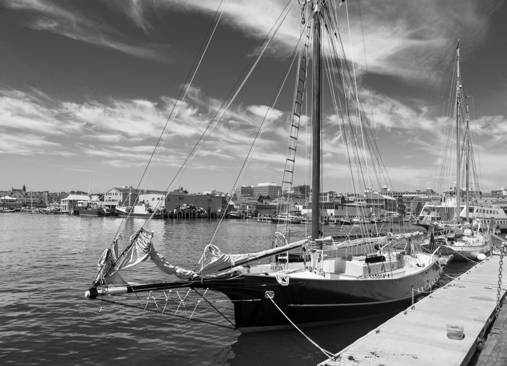 Portland, Maine, busy working waterfront with many boats in black white