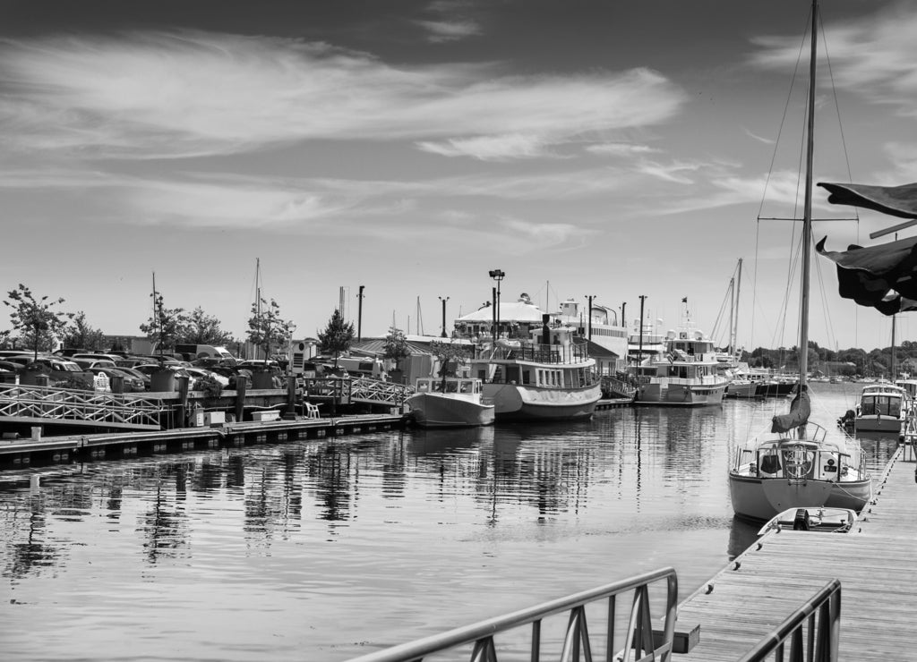 Summer lunchtime on Chandler's Wharf, looking over to Long Wharf, Portland, Maine in black white