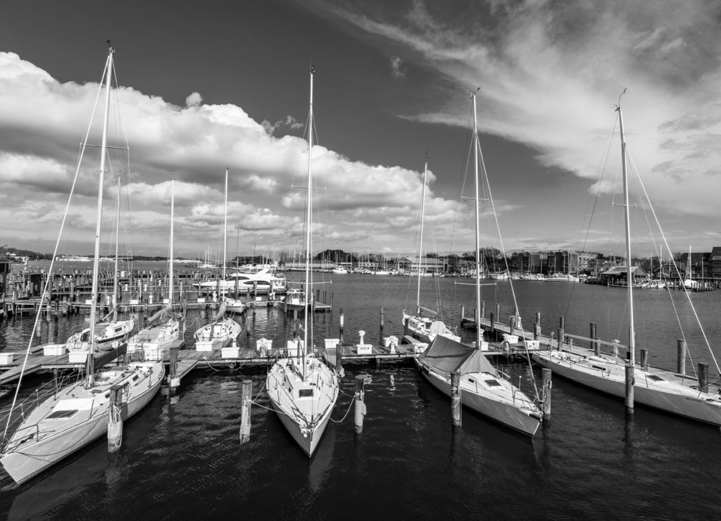 Harbor Area of Annapolis, Maryland on a cloudy spring day with sail boats in black white