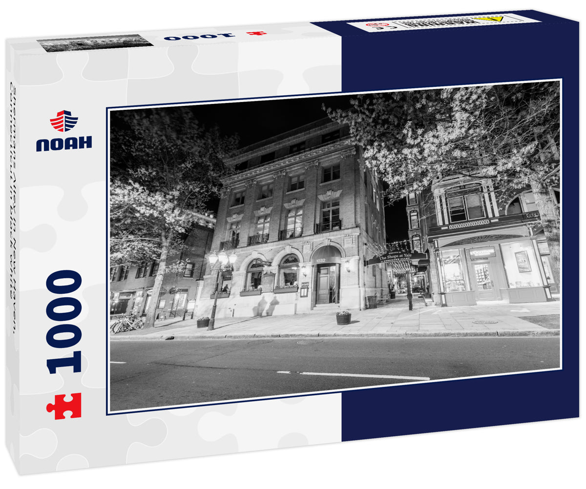 Shermans Alley in New Haven, Connecticut in black white