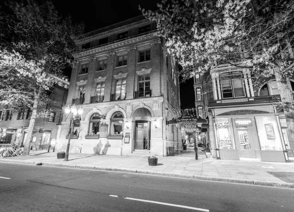 Shermans Alley in New Haven, Connecticut in black white