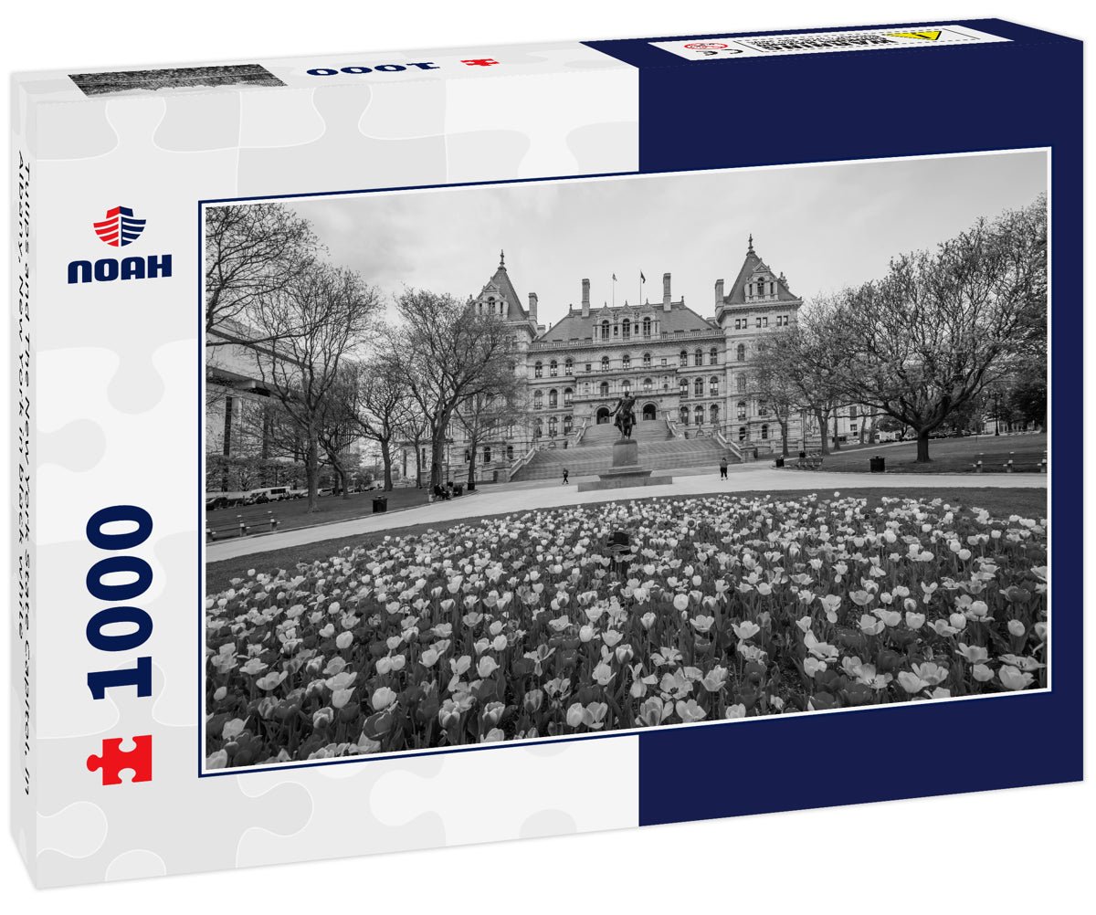 Tulips and The New York State Capitol, in Albany, New York in black white