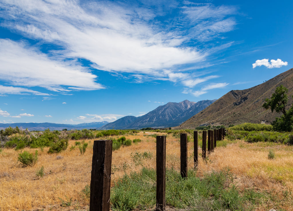 Wood fence line in Carson River Valley heading to the sierra nevada mountain range
