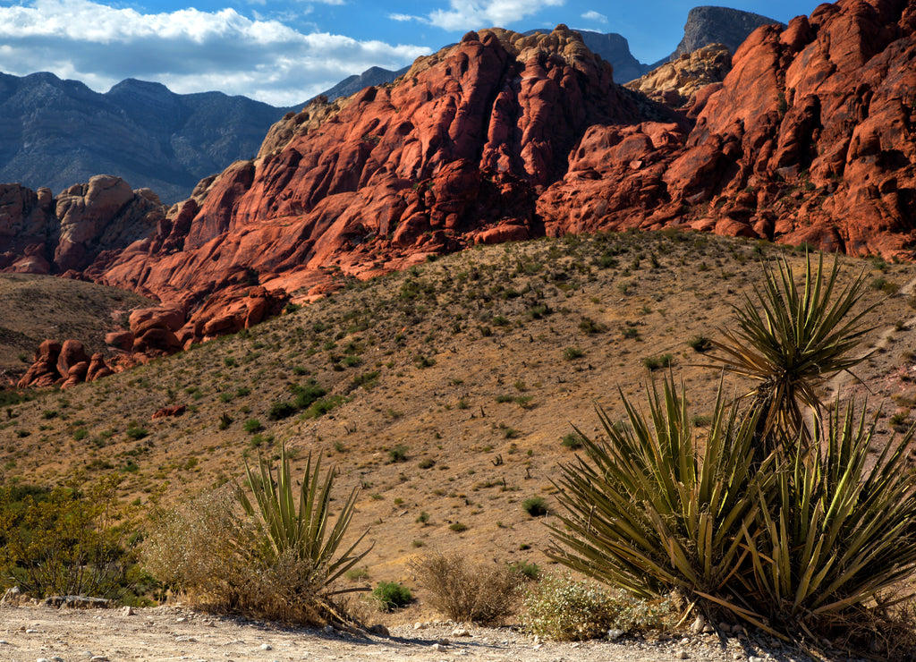 Red Rock Canyon in United States, Nevada