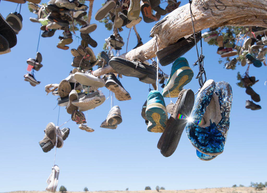 Shoes dangling from the Shoe Tree on Highway 50 in the Nevada desert