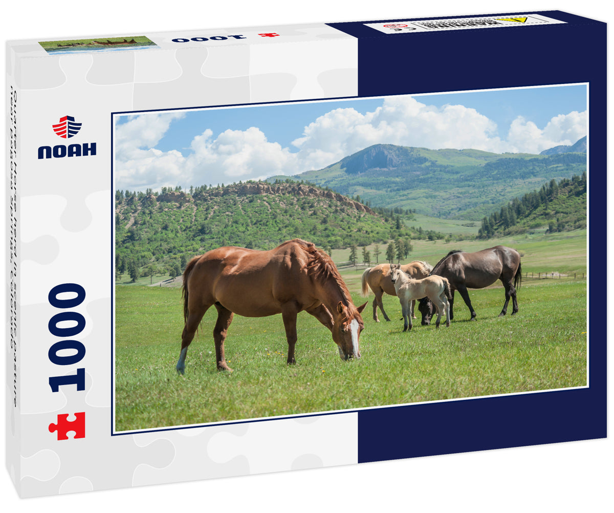 Quarter Horse herd in scenic pasture near pagosa Springs, Colorado