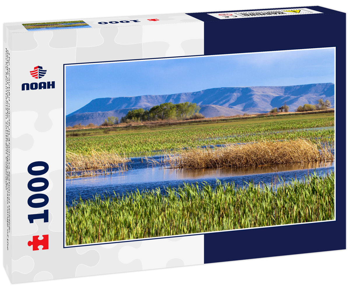 The beautiful marsh in Alamosa National Wildlife Refuge at the edge of the Sangre de Cristo range of the Rocky Mountains in southern Colorado