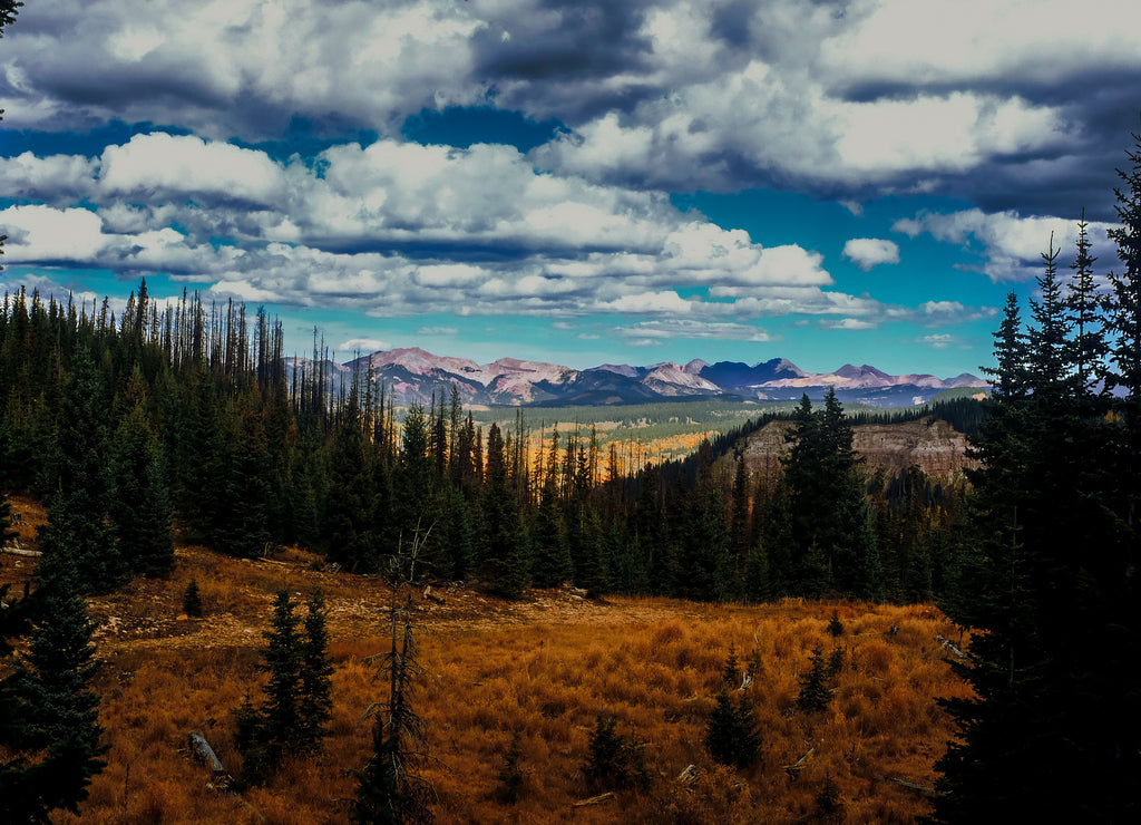 Rocky Mountains in Dolores County, Colorado