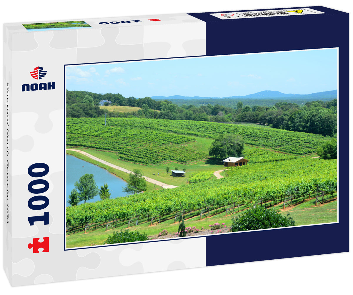 Vineyard North Georgia, USA