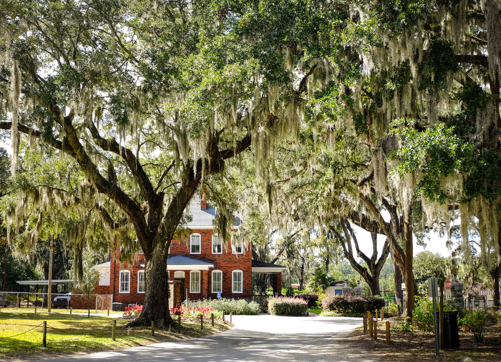 Historic Bonaventure Cemetery in Savannah Georgia USA