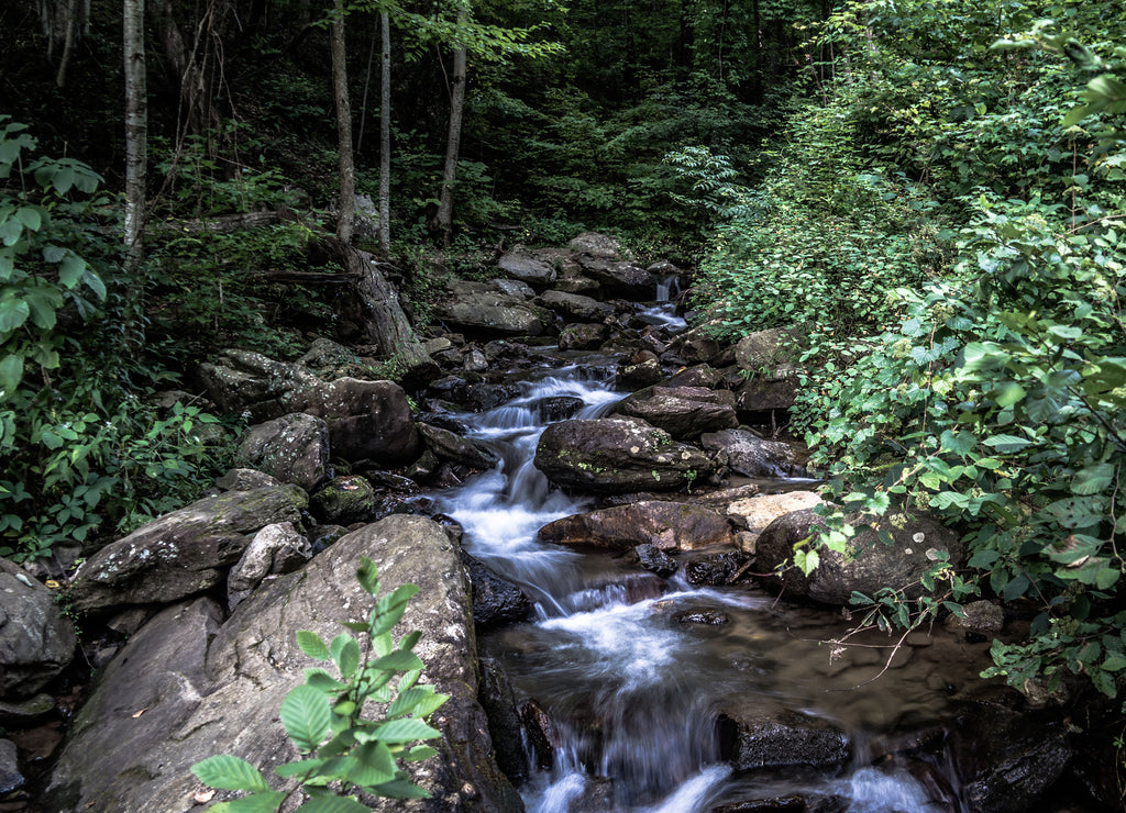 Raging Waters in Amicalola Falls State Park, Dawsonville Georgia