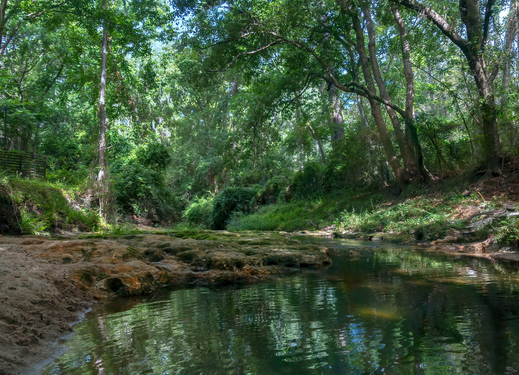 One Mile Branch, Valdosta, Georgia, USA