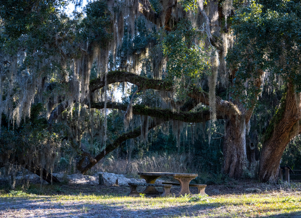 USA, Georgia, Jekyll Island, A walk on the island