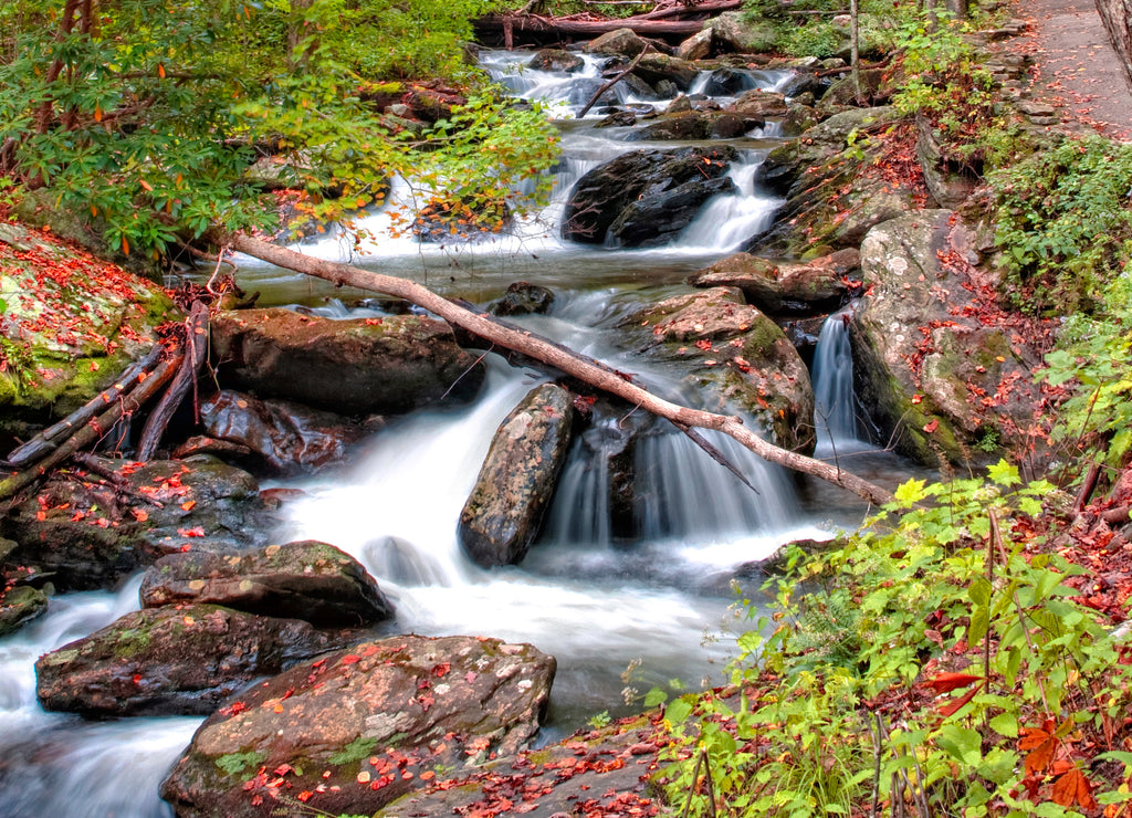 Forest waterfall in Helen Georgia